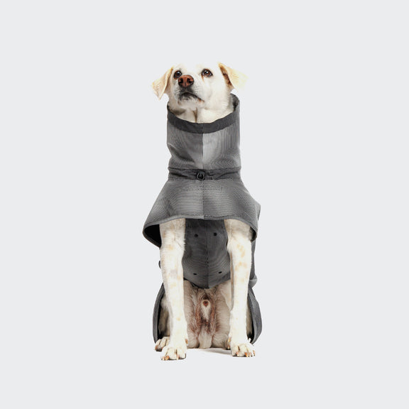 Cloud7 Hunde Regenmantel AKTIV