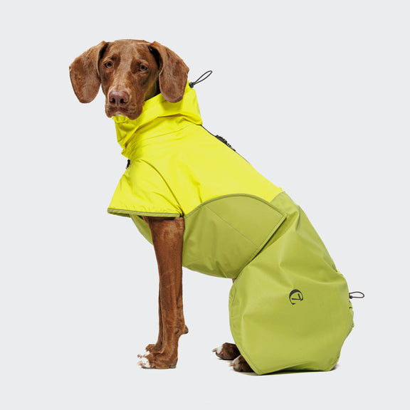 Cloud7 Hunde Regenmantel AKTIV