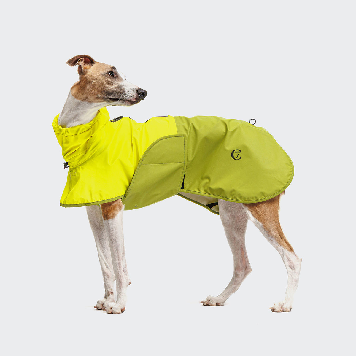 Cloud7 Hunde Regenmantel AKTIV
