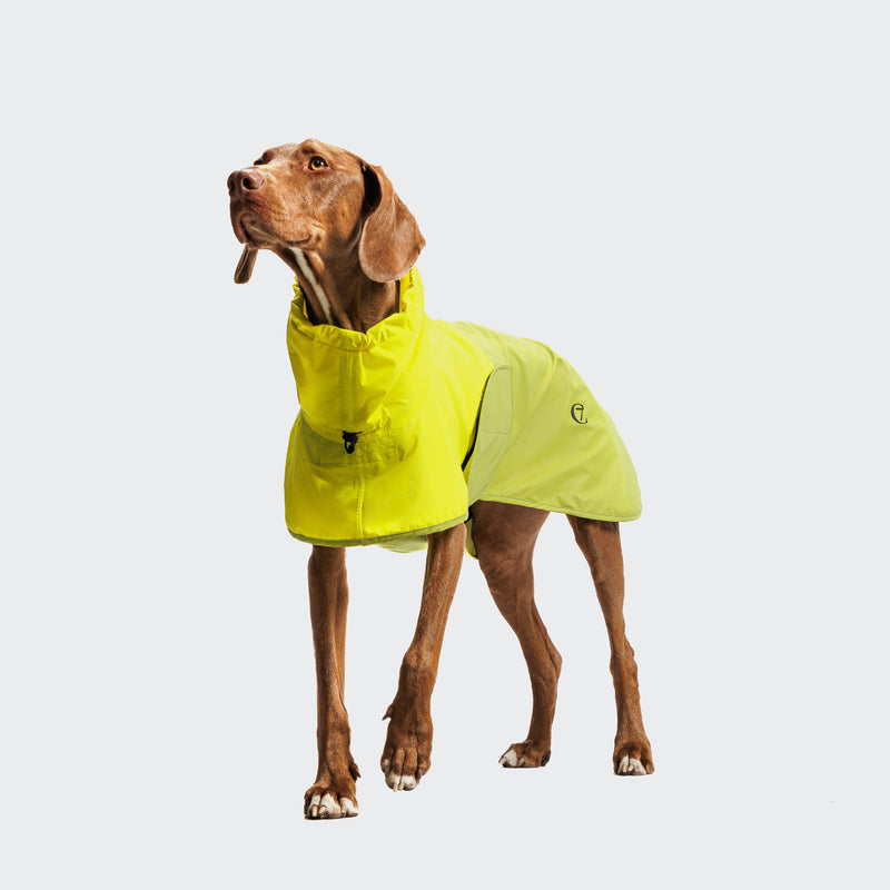 Cloud7 Hunde Regenmantel AKTIV Neon Green Light Olive