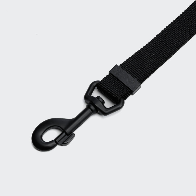 Cloud7 Freihandleine Aktiv