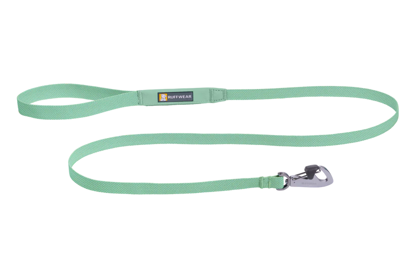 Hi & Light Hundeleine sage green