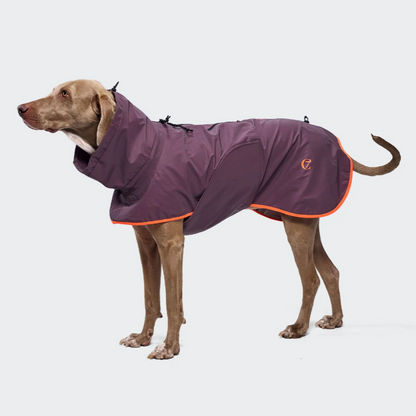 Cloud7 Hunde Regenmantel AKTIV Aubergine Orange