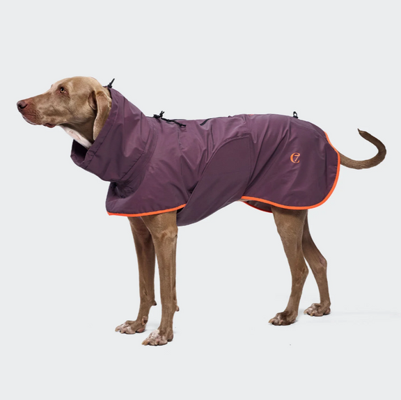 Cloud7 Hunde Regenmantel AKTIV Aubergine Orange
