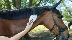 Lasertherapiebehandlung