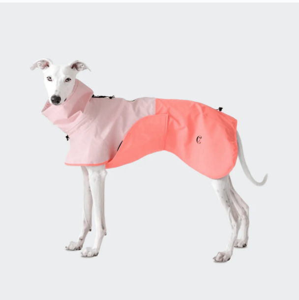 Cloud7 Hunde Regenmantel AKTIV Peach Neon Pink
