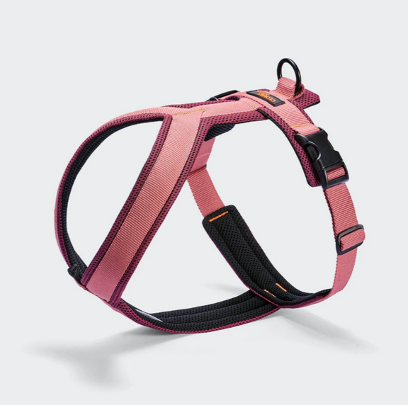 Cloud7 Y1 Geschirr AKTIV Air-Mesh Aubergine Soft Rose