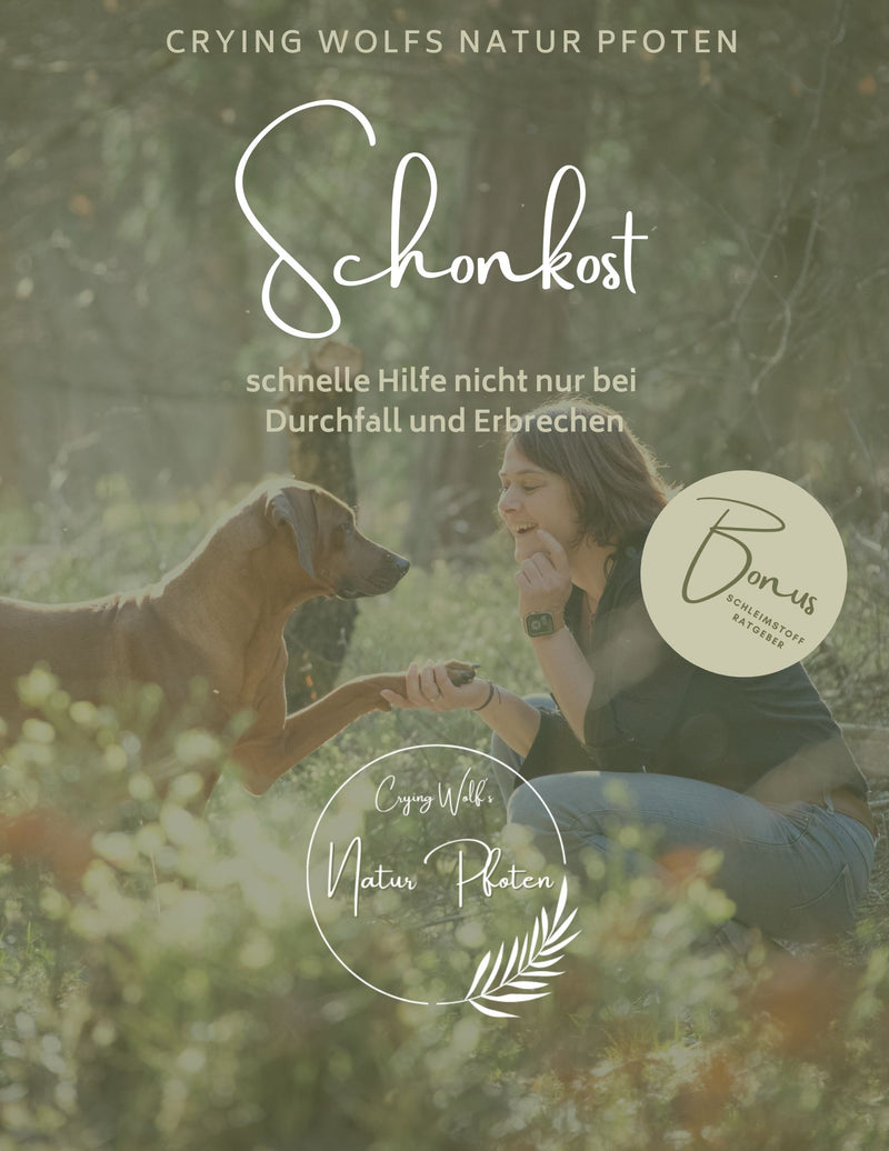 Mini Ebook Schonkost Ratgeber mit Bonus