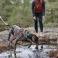 Hurtta Hundegeschirr Casual Y Harness