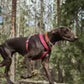 Hurtta Hundegeschirr Casual Y Harness
