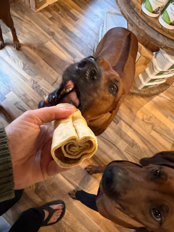 Rinder Kopfhaut gerollt