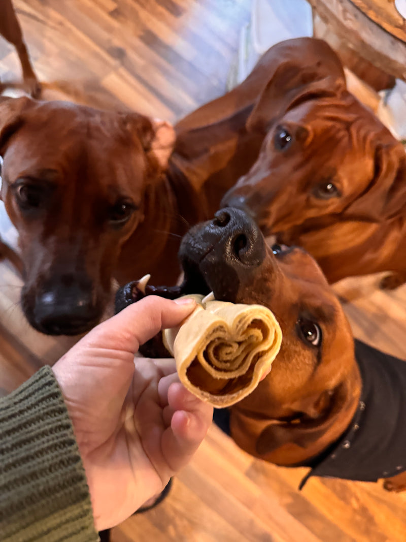 Rinder Kopfhaut gerollt