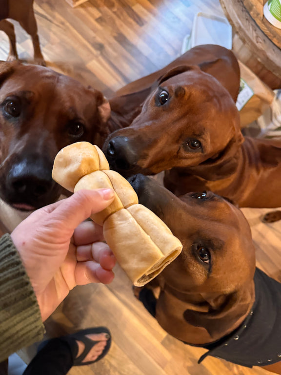 Rinder Kopfhaut gerollt