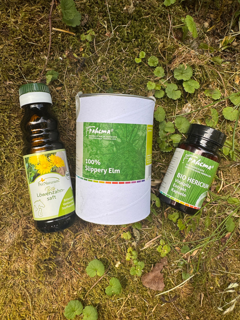 Feuer frei? Sodbrennen - Nicht mit uns!