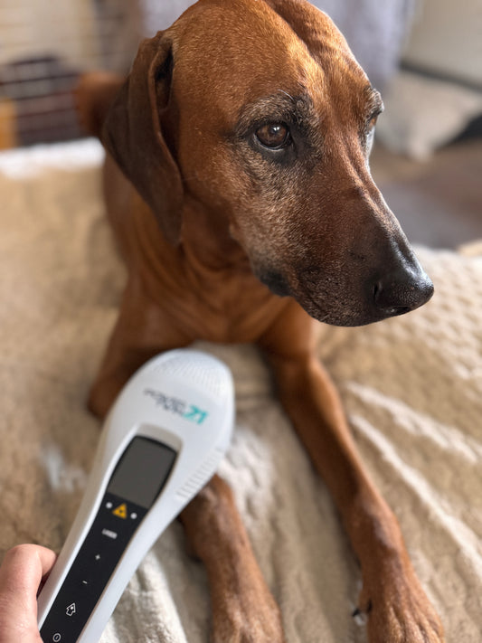 Lasertherapiebehandlung