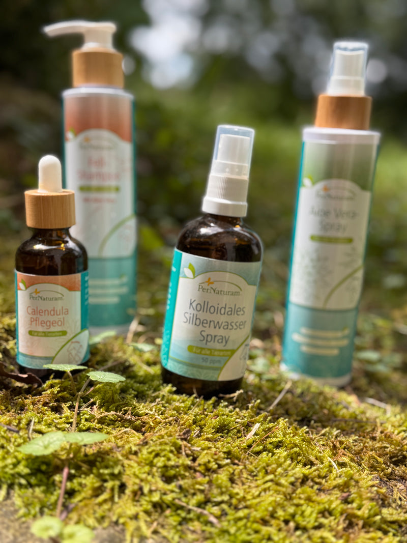 Hautnah – das Pflegeritual für empfindliche Hundehaut