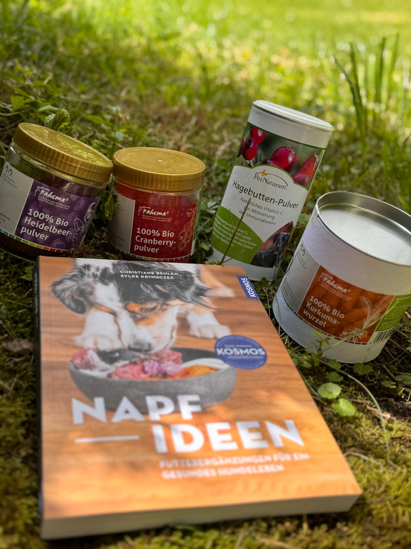 Napfideen Bundle