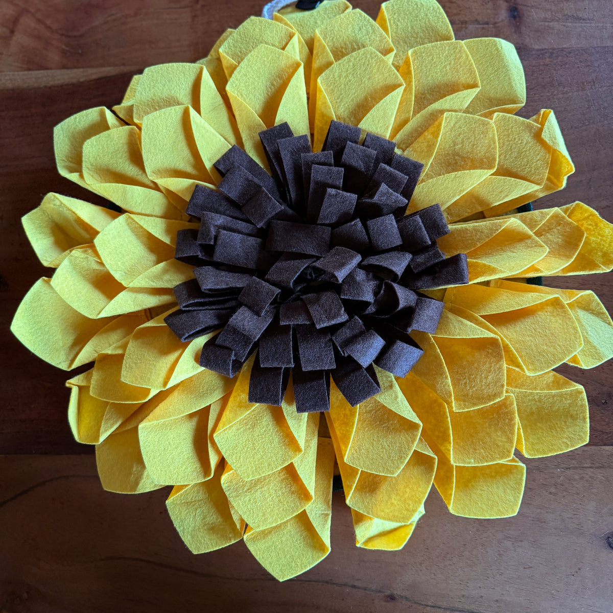 Schnüffelteppich Sonnenblume