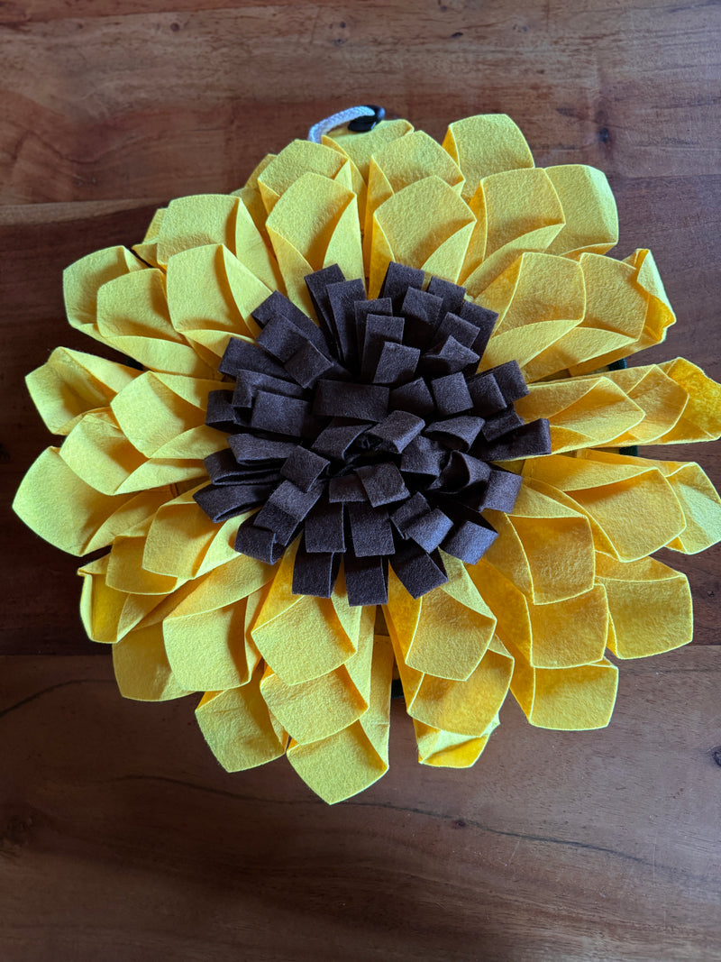 Schnüffelteppich Sonnenblume