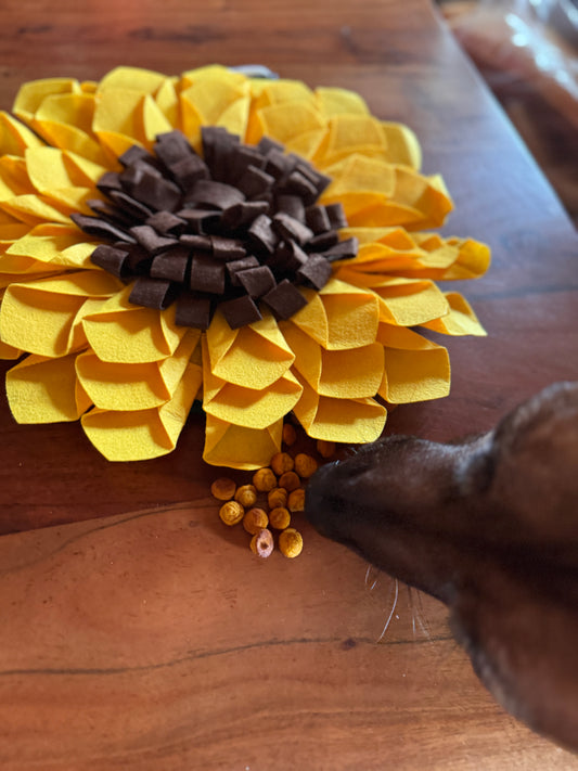 Schnüffelteppich Sonnenblume