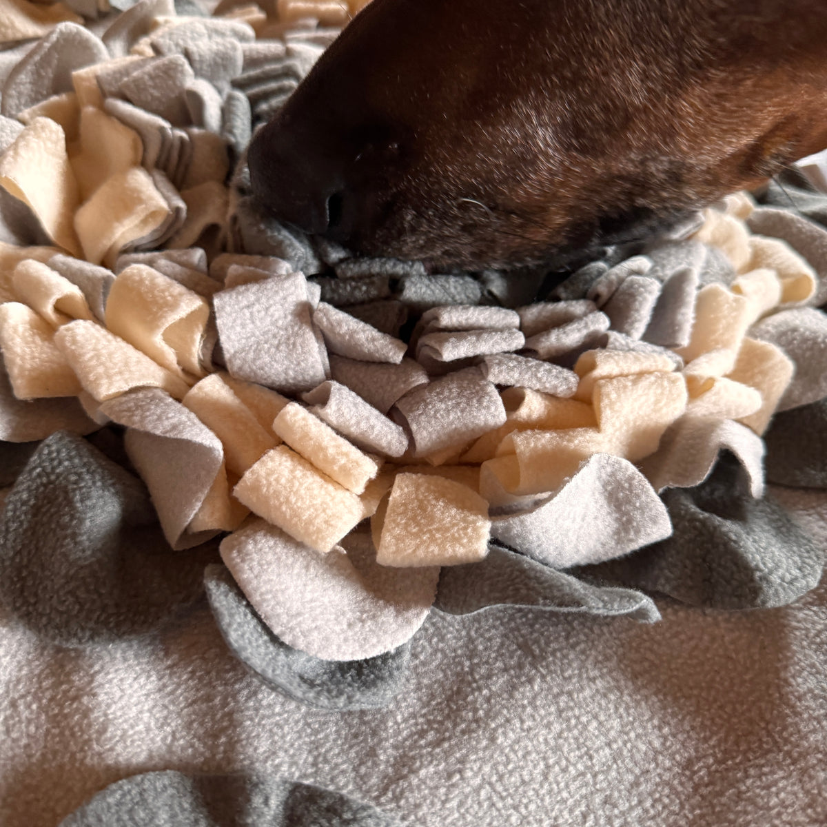 Schnüffelteppich XXL