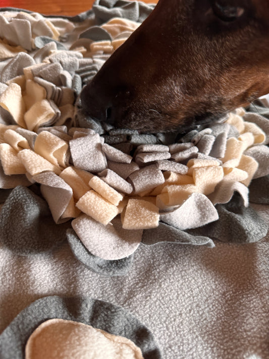 Schnüffelteppich XXL