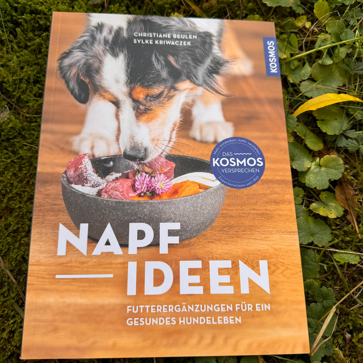 Napfideen