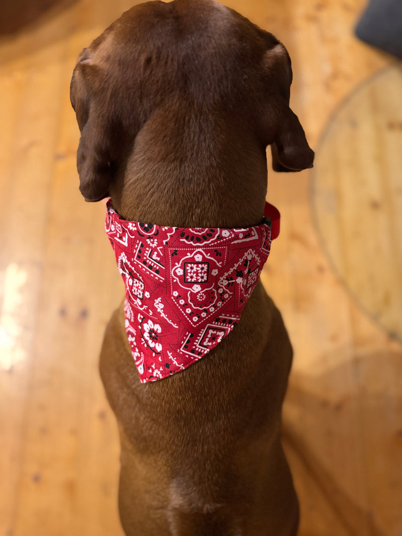 Halsband / Halstuch Volksfest Style
