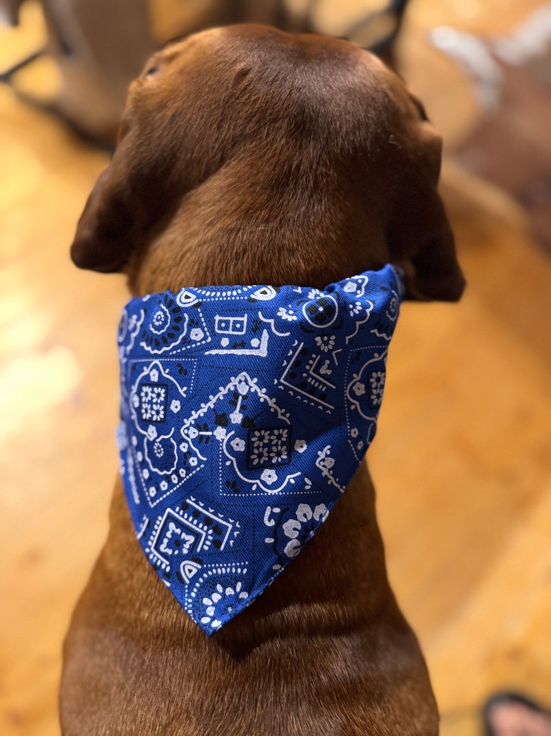 Halsband / Halstuch Volksfest Style