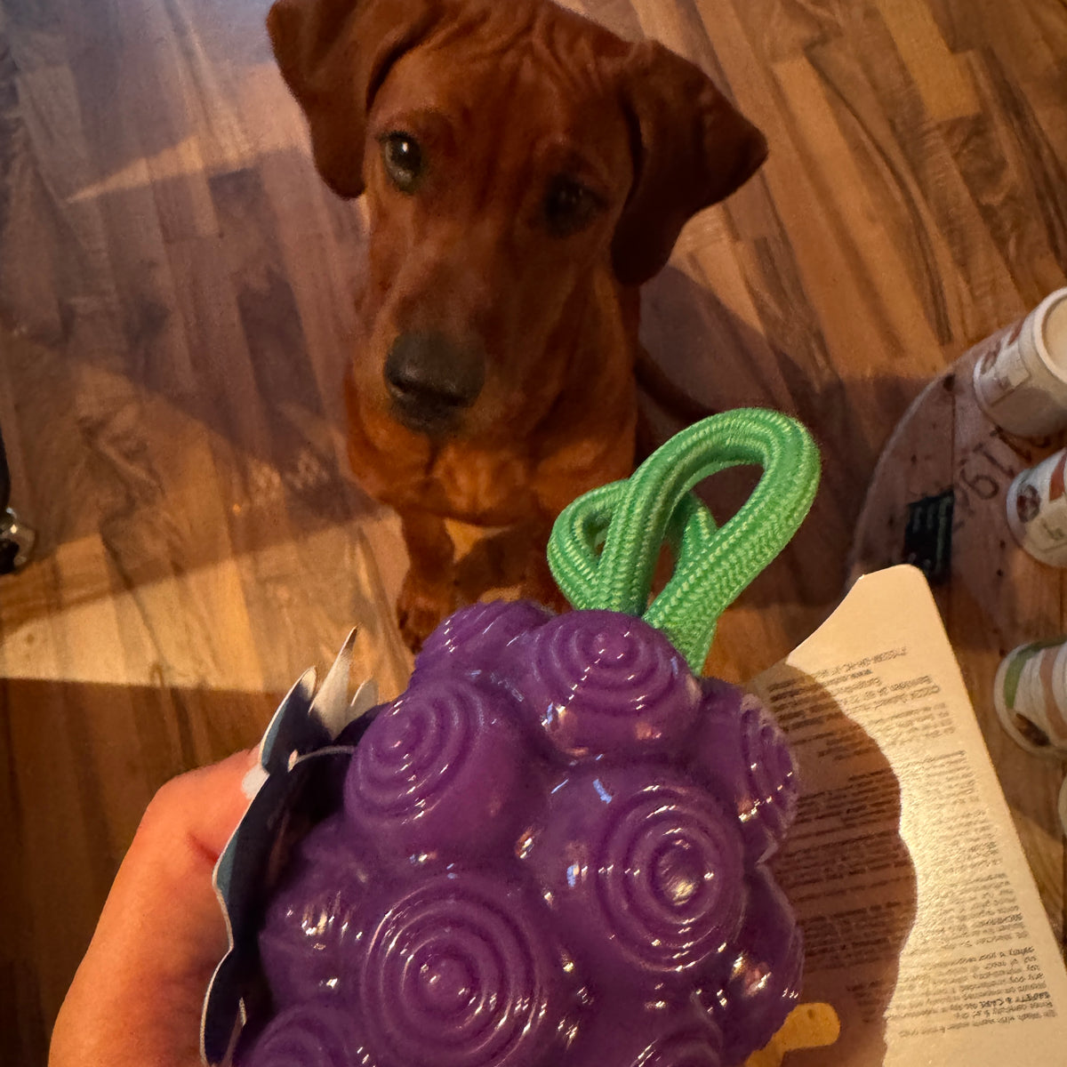 Planet Dogg Dental Grapes