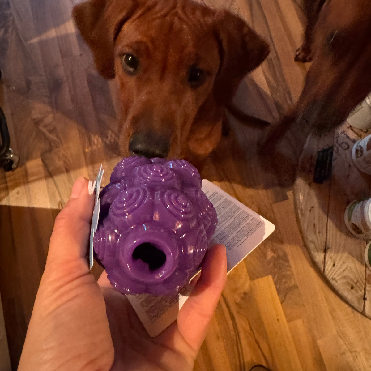 Planet Dogg Dental Grapes