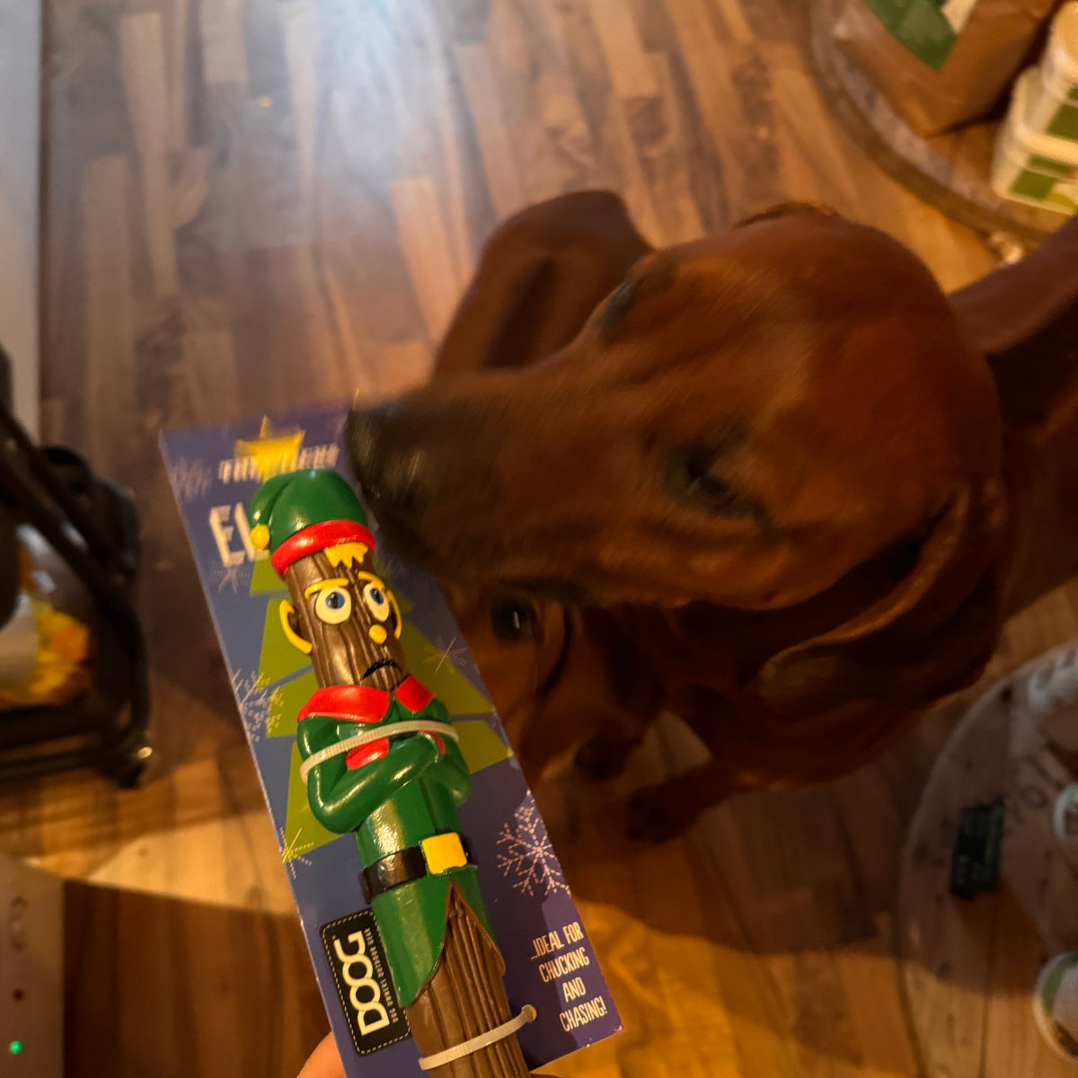 Doog Xmas Stick