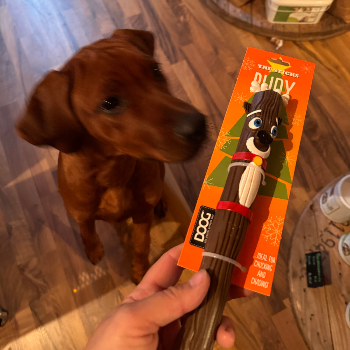 Doog Xmas Stick
