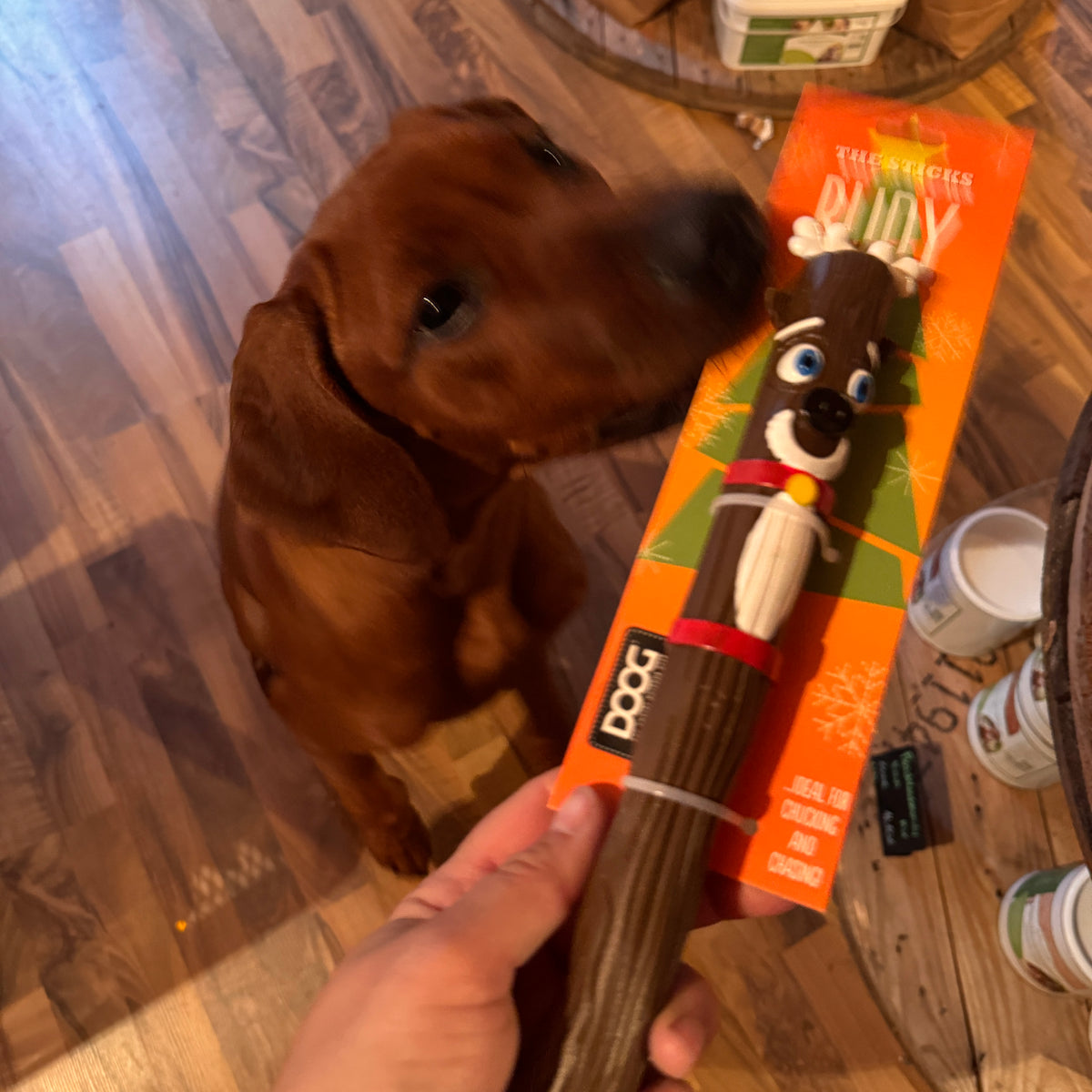 Doog Xmas Stick