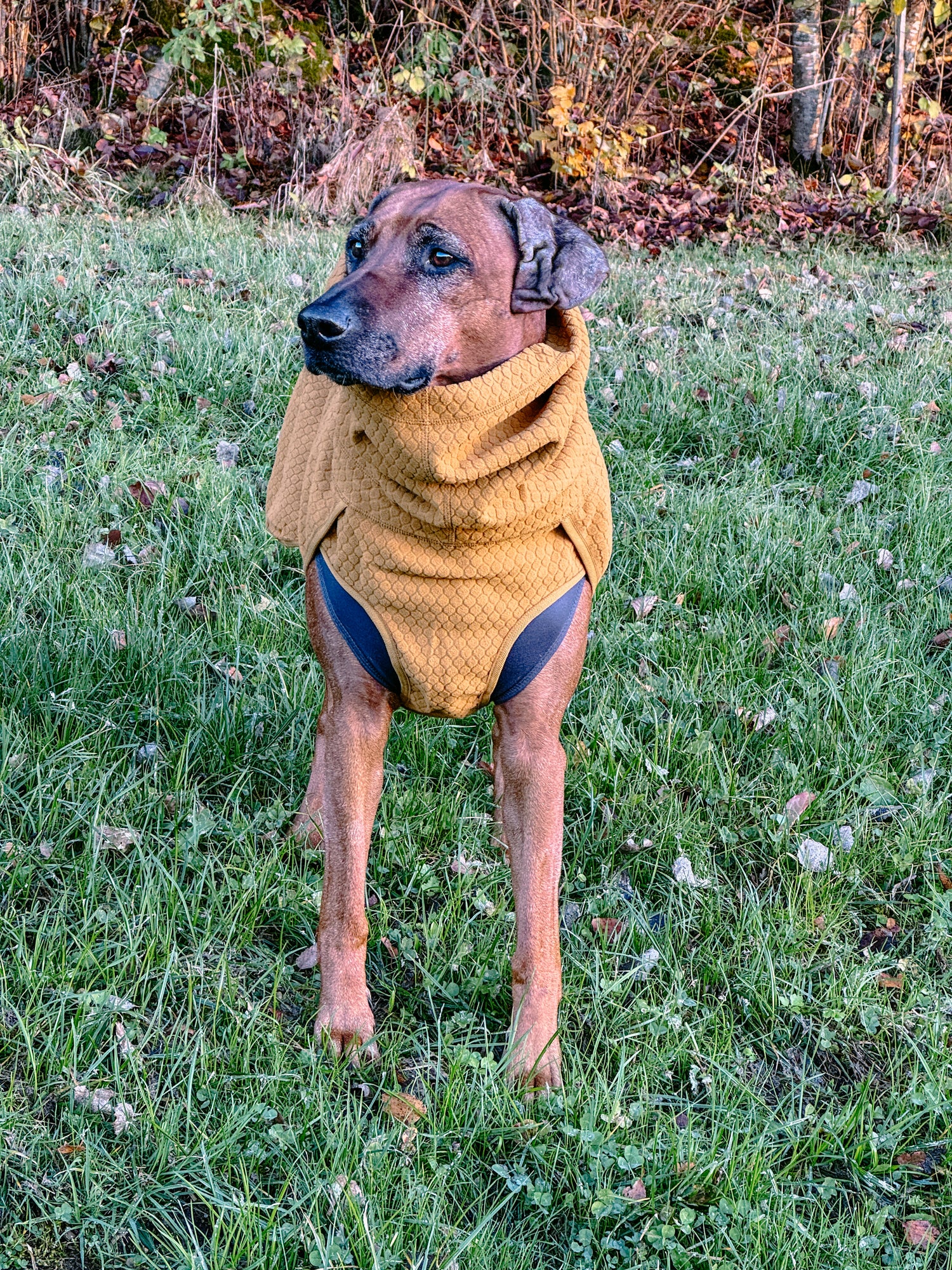 Hurtta Wärmende Hundejacke Warm Midlayer ECO desert