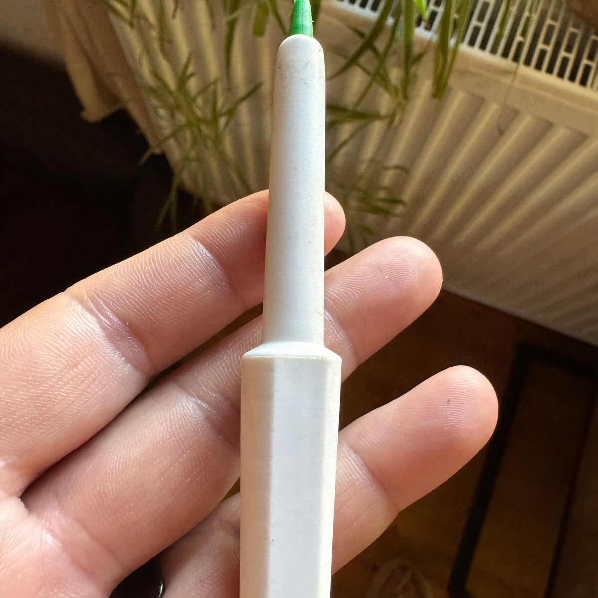 Zeckenschlinge
