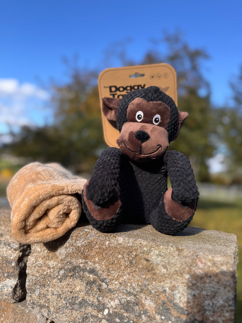 2 in 1 - Kuscheltier mit Kuscheltuch - Affe