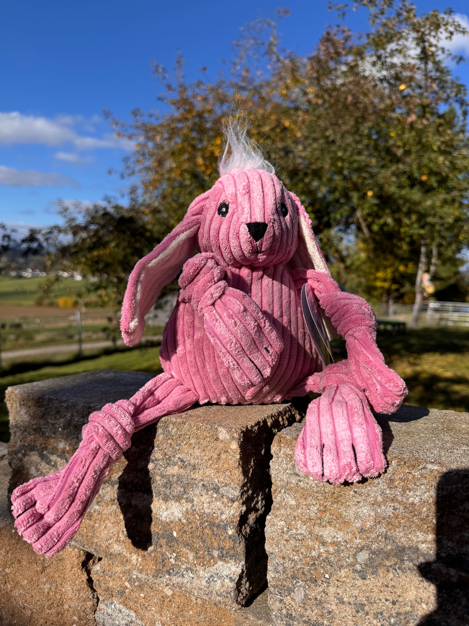 Huggle Knottie Bitsy Bunny Large