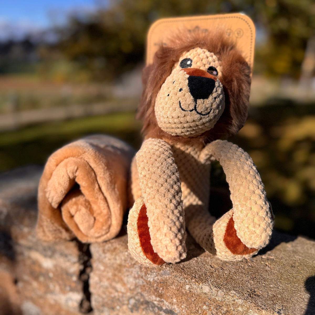 2 in 1 - Kuscheltier mit Kuscheltuch - Löwe