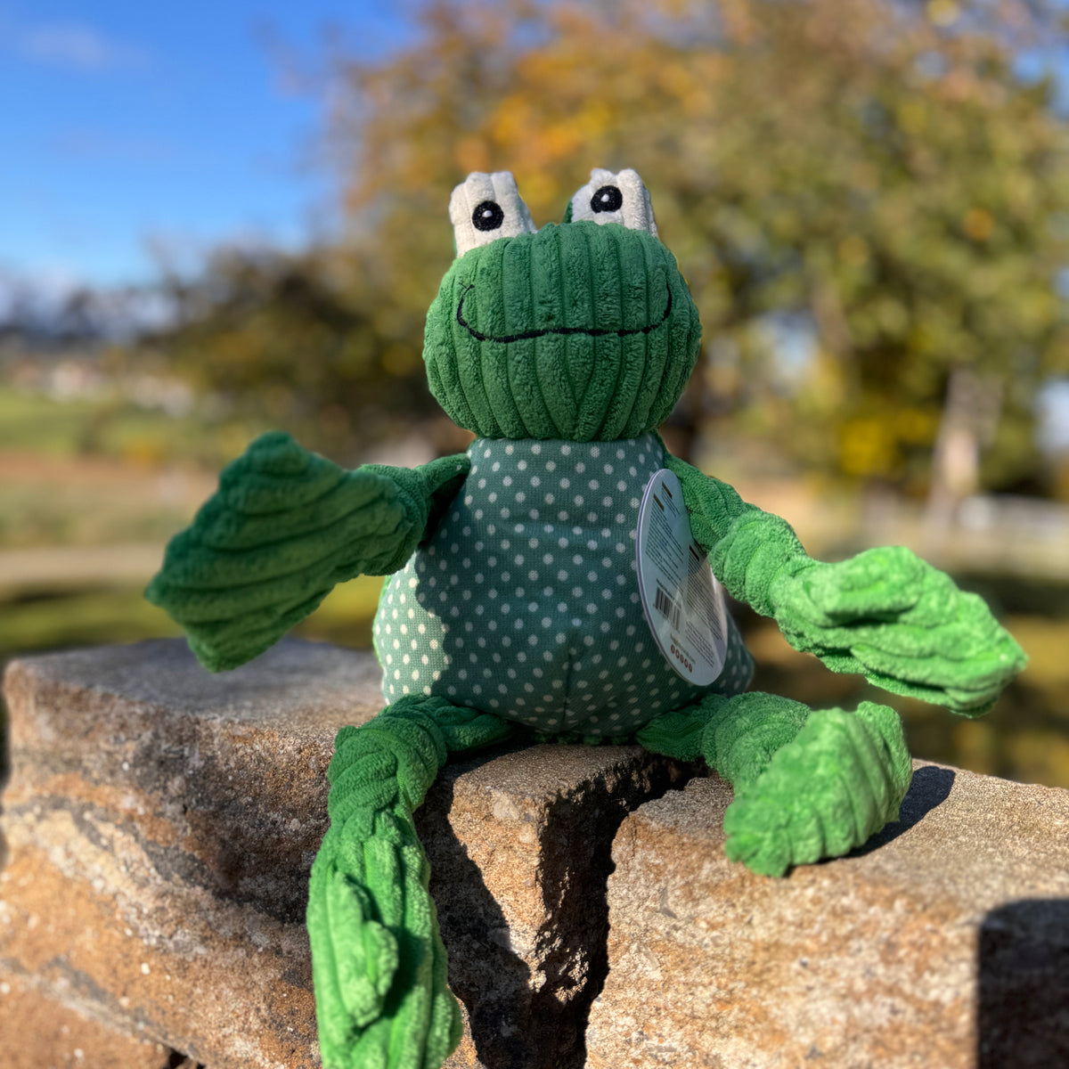 Huggle Knottie Frosch