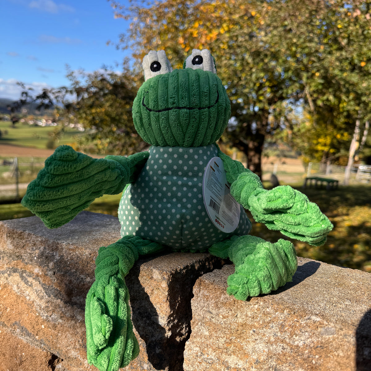 Huggle Knottie Frosch
