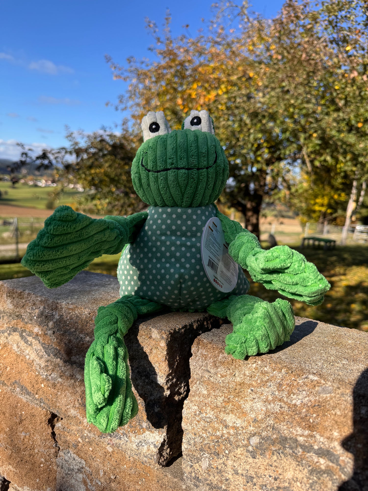 Huggle Knottie Frosch