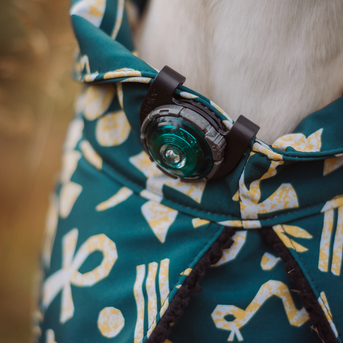 Orbiloc Dog Dual - Safty Light green
