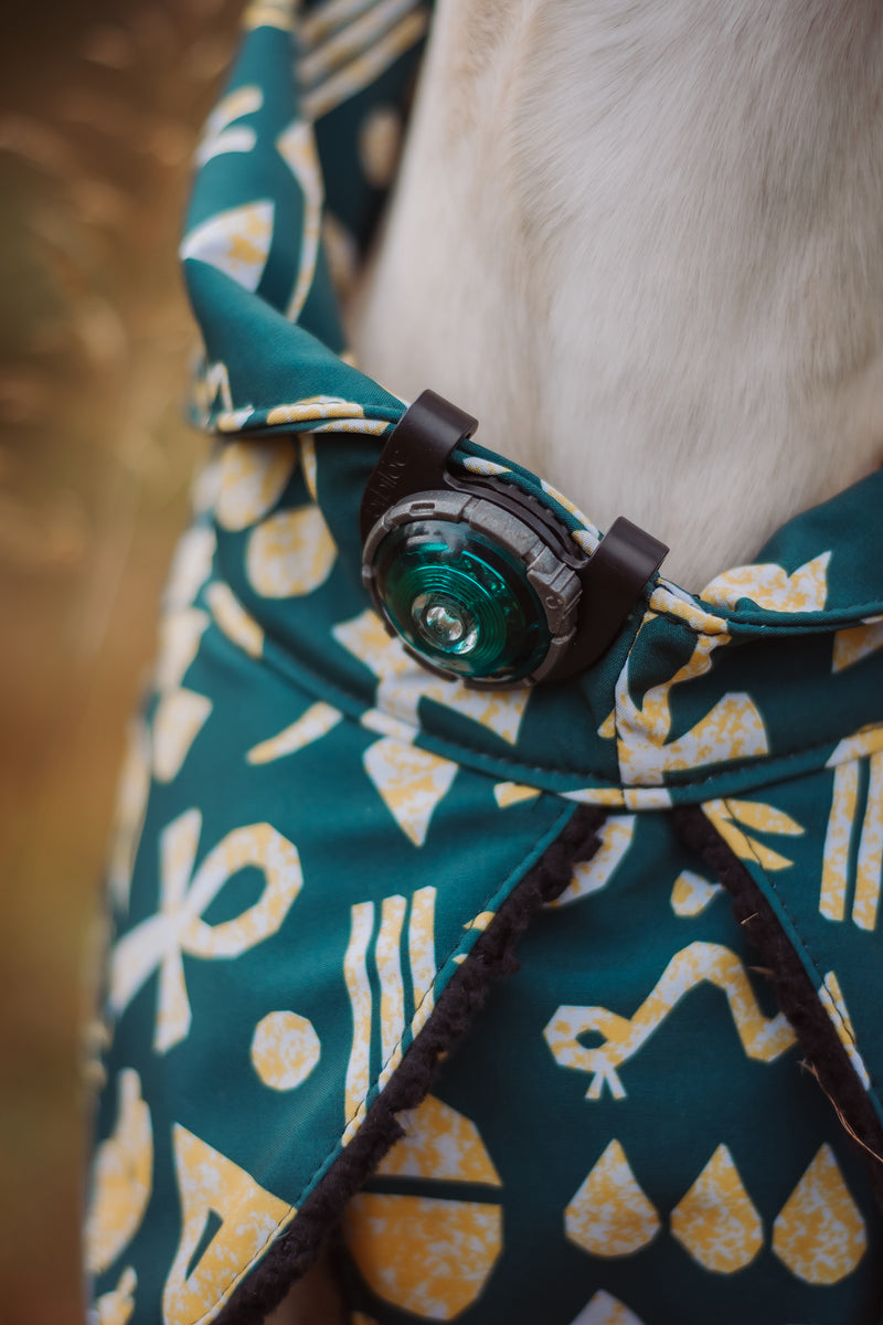 Orbiloc Dog Dual - Safty Light