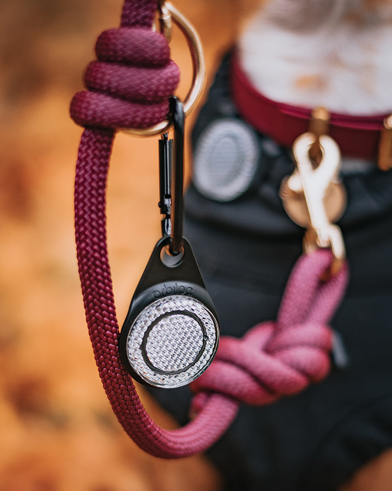 Orbiloc - Carabiner