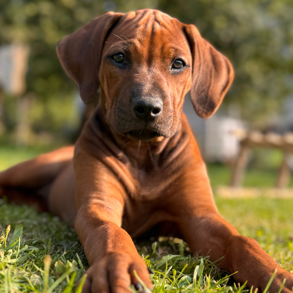 Plananpassung – weil Fütterung nie stehen bleibt