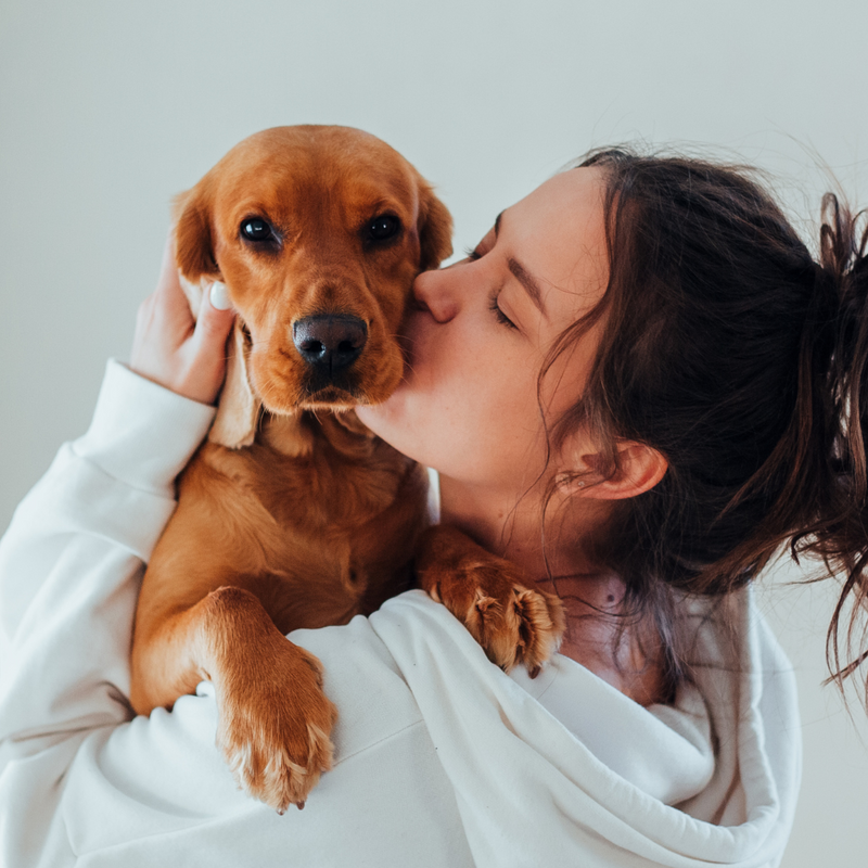 Intensiv Betreuungszeit