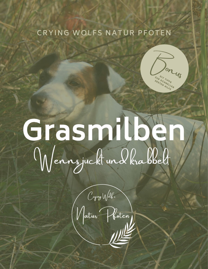 Mini Ebook Grasmilben Ratgeber mit Bonus