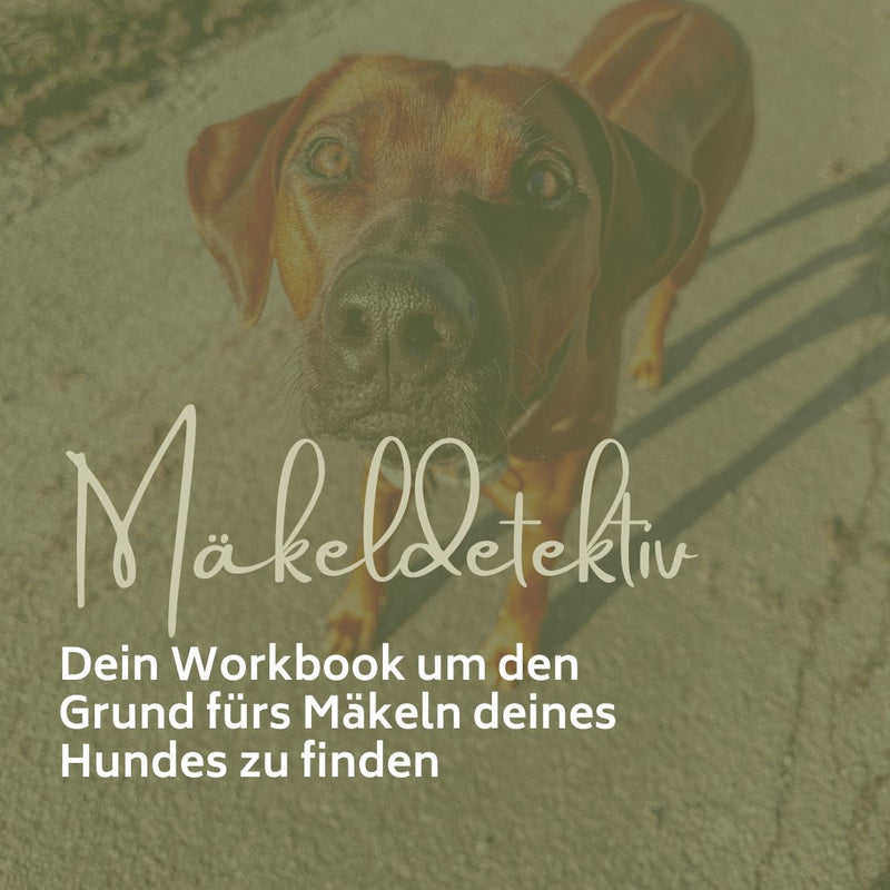 Mäkel Detektiv - das Workbook