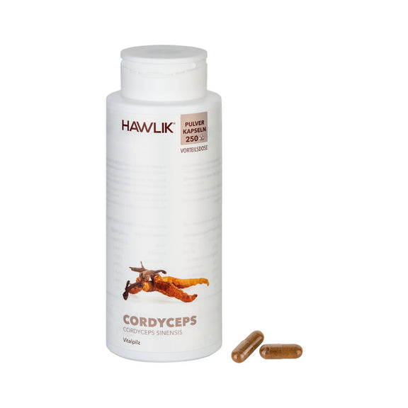 Cordyceps sinensis Pulver Kapseln 250 Kapseln